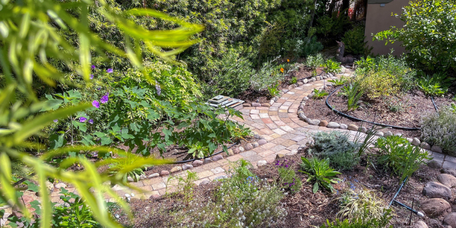 A garden featuring flowers of white, blue, purple and orange is bisected by a brick pathway.