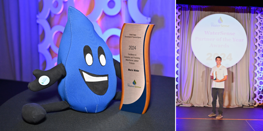A person holds an award on a stage displaying a backdrop that reads “WaterSense Partner of the Year Awards 2024.”