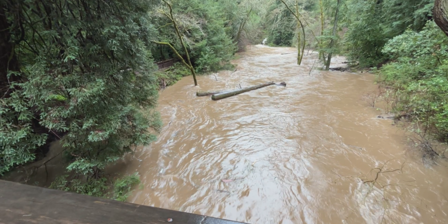 A creek with a large flow of water and two floating logs
