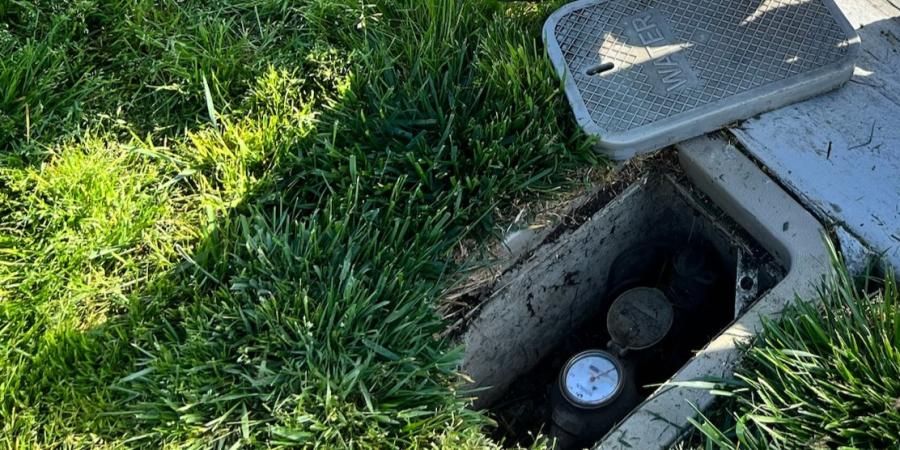 A water meter in the ground surrounded by grass and the meter box lid