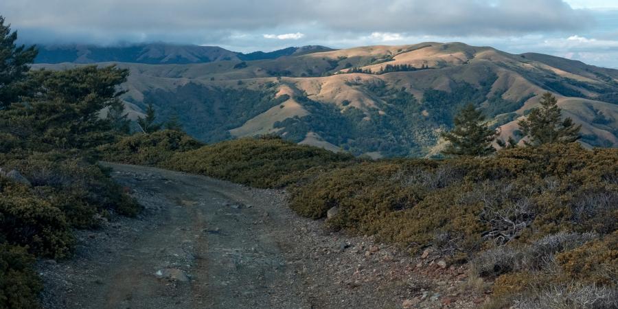 A fire road with rolling hills in the background