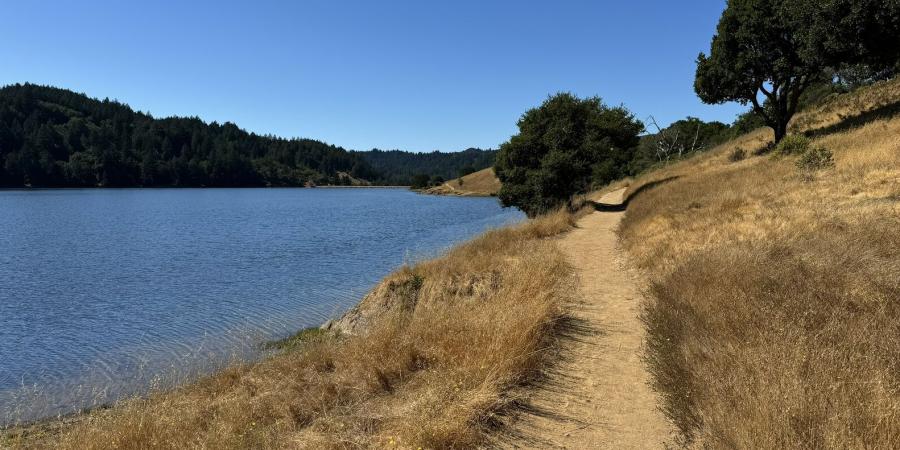 Trail adjacent to Bon Tempe Lake on the Mt. Tam Watershed.
