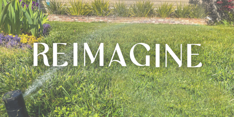 Image shows a residential lawn with the word "Reimagine" superimposed.